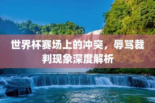 世界杯赛场上的冲突，辱骂裁判现象深度解析