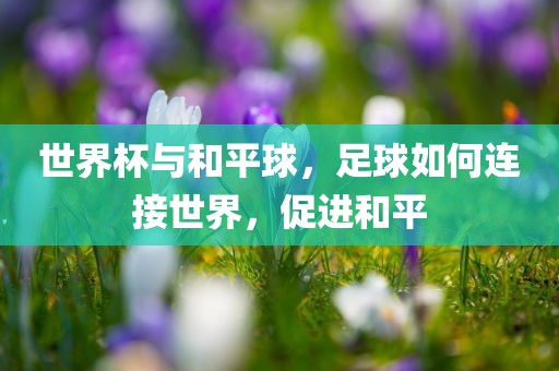世界杯与和平球，足球如何连接世界，促进和平