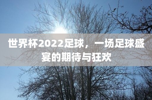 世界杯2022足球，一场足球盛宴的期待与狂欢