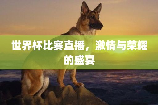 世界杯比赛直播，激情与荣耀的盛宴