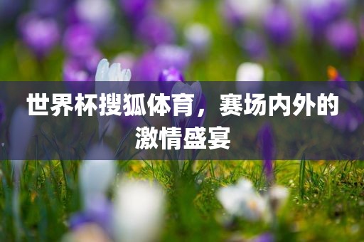 世界杯搜狐体育，赛场内外的激情盛宴