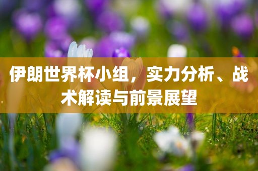 伊朗世界杯小组，实力分析、战术解读与前景展望