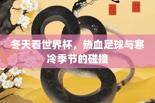 冬天看世界杯，热血足球与寒冷季节的碰撞