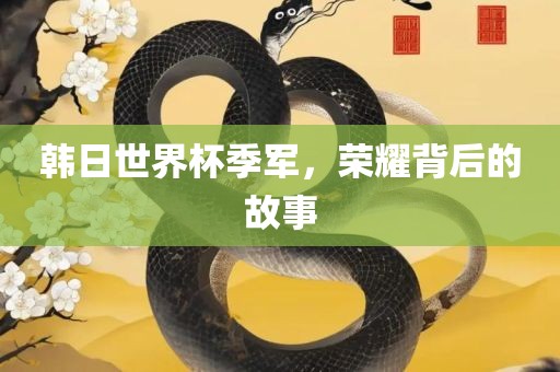 韩日世界杯季军，荣耀背后的故事