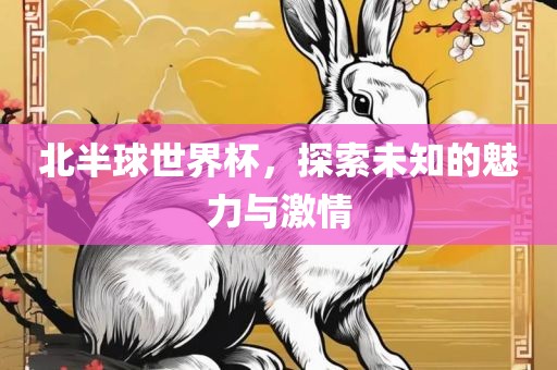 北半球世界杯，探索未知的魅力与激情