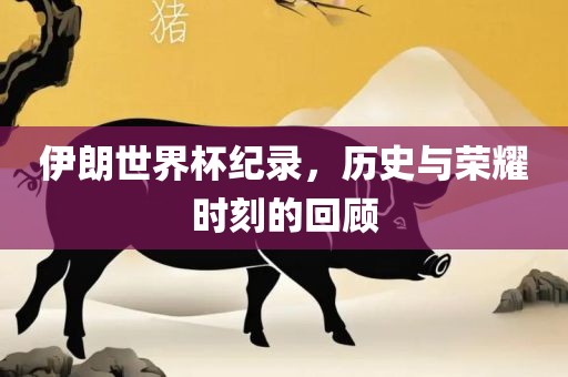 伊朗世界杯纪录，历史与荣耀时刻的回顾