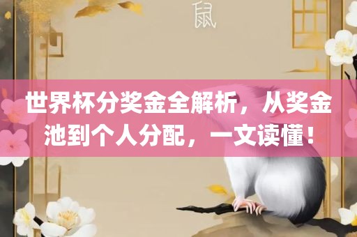 世界杯分奖金全解析，从奖金池到个人分配，一文读懂！