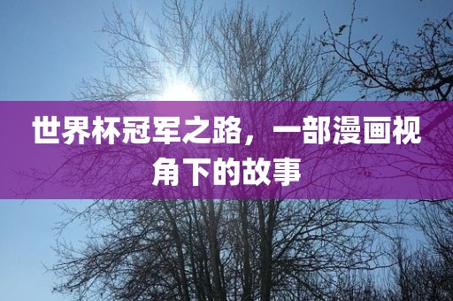 世界杯冠军之路，一部漫画视角下的故事