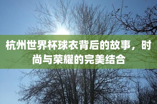 杭州世界杯球衣背后的故事，时尚与荣耀的完美结合