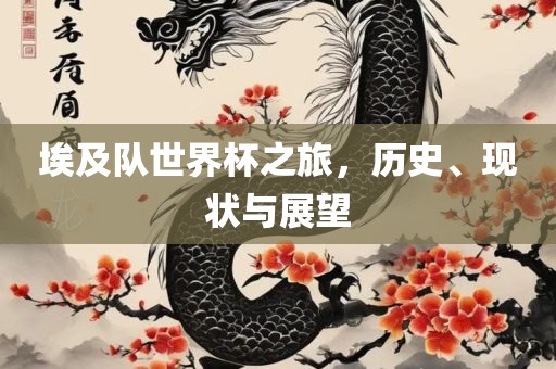 埃及队世界杯之旅，历史、现状与展望