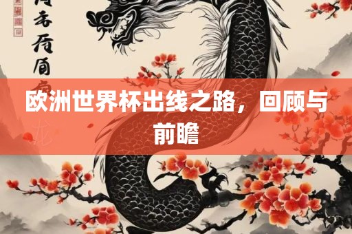 欧洲世界杯出线之路，回顾与前瞻