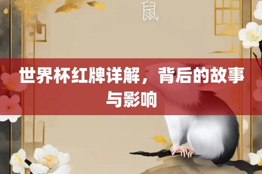 世界杯红牌详解，背后的故事与影响