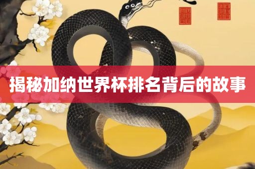 揭秘加纳世界杯排名背后的故事