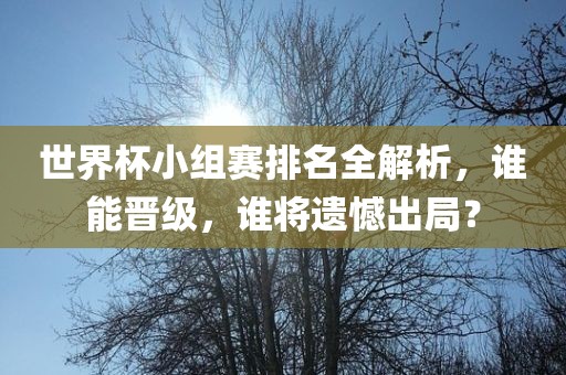 世界杯小组赛排名全解析，谁能晋级，谁将遗憾出局？