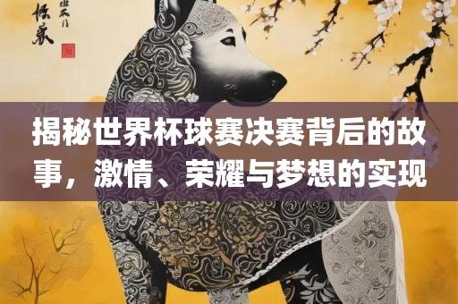 揭秘世界杯球赛决赛背后的故事，激情、荣耀与梦想的实现