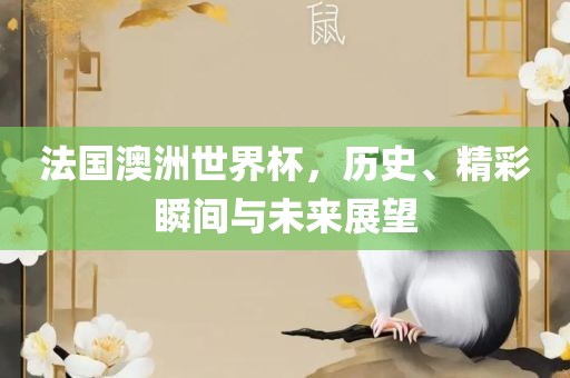 法国澳洲世界杯，历史、精彩瞬间与未来展望