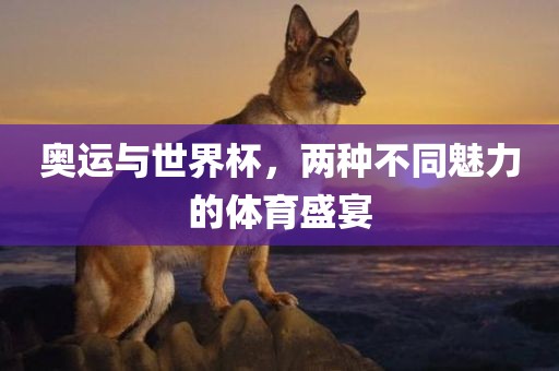 奥运与世界杯，两种不同魅力的体育盛宴