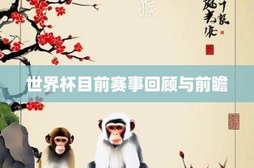 世界杯目前赛事回顾与前瞻