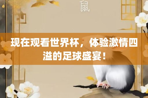 现在观看世界杯，体验激情四溢的足球盛宴！