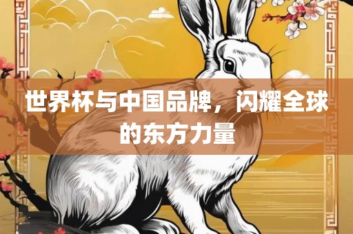 世界杯与中国品牌，闪耀全球的东方力量