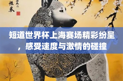 短道世界杯上海赛场精彩纷呈，感受速度与激情的碰撞