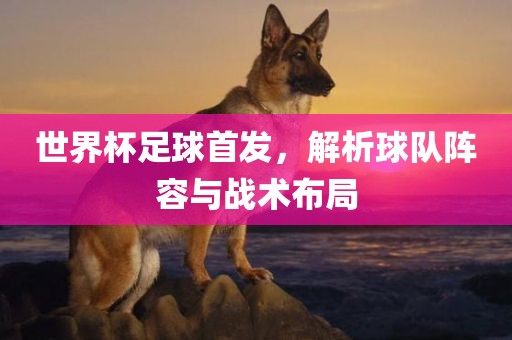 世界杯足球首发，解析球队阵容与战术布局