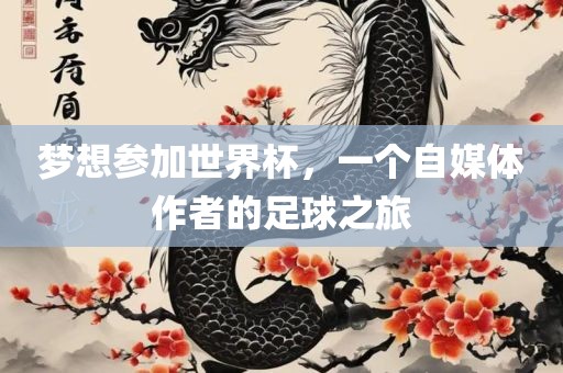 梦想参加世界杯，一个自媒体作者的足球之旅