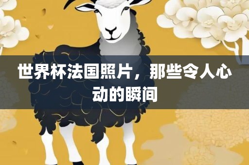 世界杯法国照片，那些令人心动的瞬间