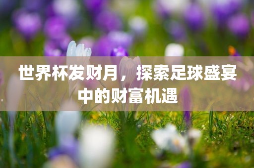 世界杯发财月，探索足球盛宴中的财富机遇