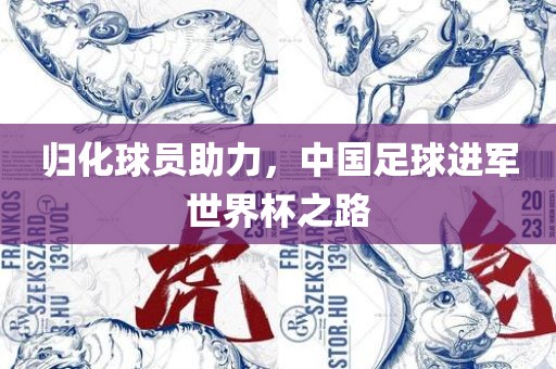 归化球员助力，中国足球进军世界杯之路