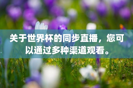关于世界杯的同步直播，您可以通过多种渠道观看。