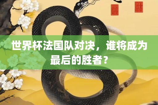 世界杯法国队对决，谁将成为最后的胜者？