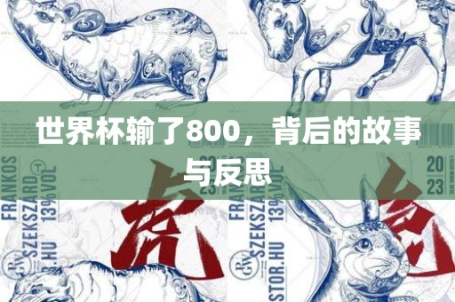 世界杯输了800，背后的故事与反思