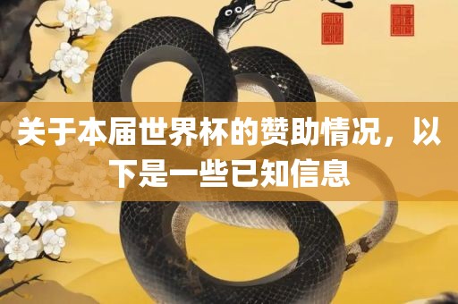 关于本届世界杯的赞助情况，以下是一些已知信息