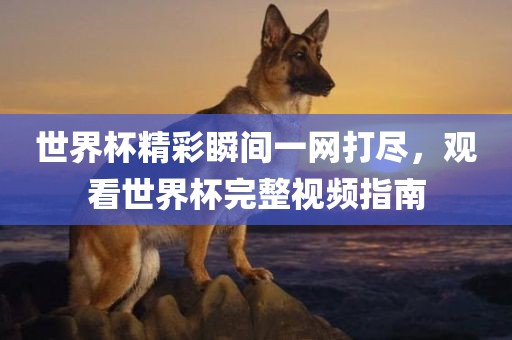 世界杯精彩瞬间一网打尽，观看世界杯完整视频指南