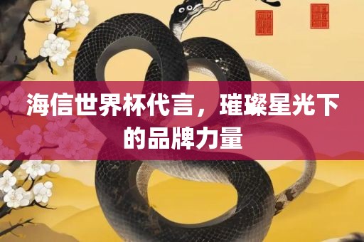 海信世界杯代言，璀璨星光下的品牌力量