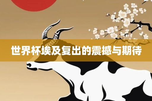 世界杯埃及复出的震撼与期待