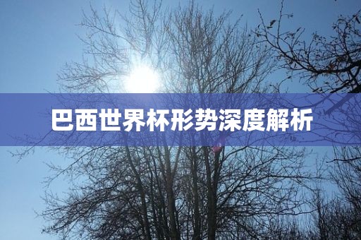 巴西世界杯形势深度解析