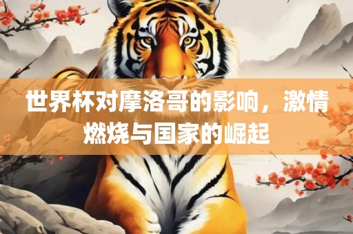 世界杯对摩洛哥的影响，激情燃烧与国家的崛起