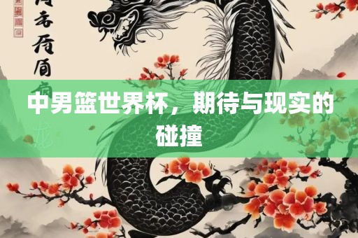 中男篮世界杯，期待与现实的碰撞