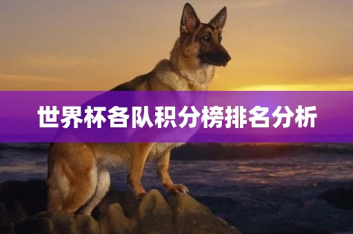世界杯各队积分榜排名分析