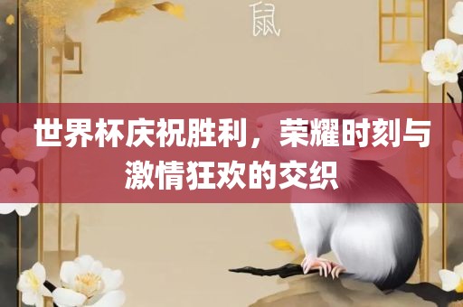 世界杯庆祝胜利，荣耀时刻与激情狂欢的交织