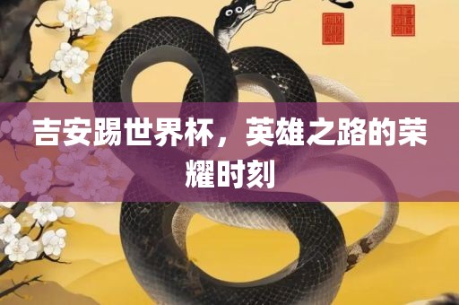 吉安踢世界杯，英雄之路的荣耀时刻