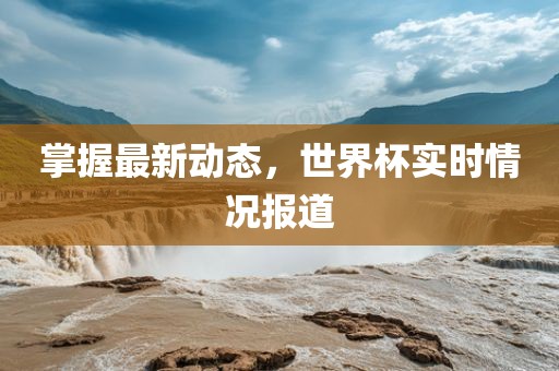 掌握最新动态，世界杯实时情况报道