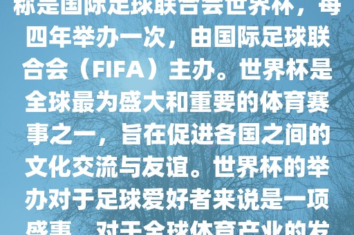 世界杯是一项国际足球赛事，全称是国际足球联合会世界杯，每四年举办一次，由国际足球联合会（FIFA）主办。世界杯是全球最为盛大和重要的体育赛事之一，旨在促进各国之间的文化交流与友谊。世界杯的举办对于足球爱好者来说是一项盛事，对于全球体育产业的发展也具有重要影响。
