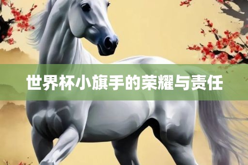 世界杯小旗手的荣耀与责任