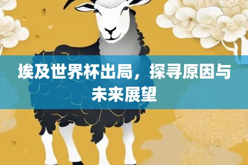 埃及世界杯出局，探寻原因与未来展望