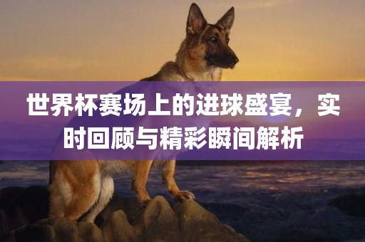世界杯赛场上的进球盛宴，实时回顾与精彩瞬间解析