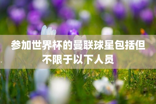 参加世界杯的曼联球星包括但不限于以下人员