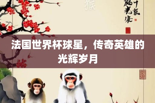 法国世界杯球星，传奇英雄的光辉岁月